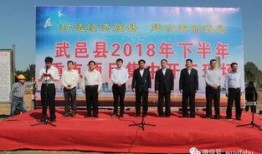 武邑近期爆料新闻视频,视频揭露惊人真相