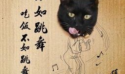 黑猫网红爆料视频大全最新