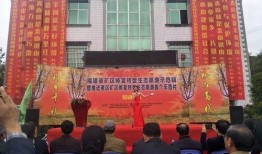 龙岩新罗区新闻爆料,聚焦最新动态，揭秘事件真相